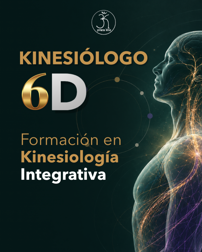 KINESIÓLOGO 6D
